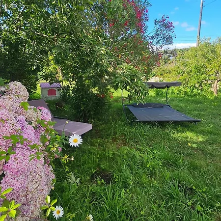 A Casa De Flora Дом отдыха Нойя
